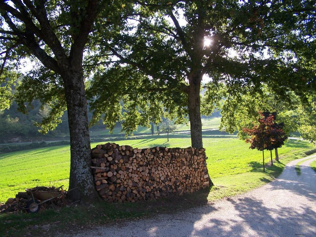 Agriturismo Fontandrone Pieve Santo Stefano Exterior foto